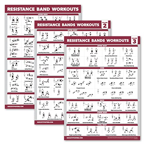 Palace Learning 4 Pack - Resistance Bands Workout Exercise Posters Volume 1, 2 & 3 + Resistance Loops Fitness Chart (LAMIN...