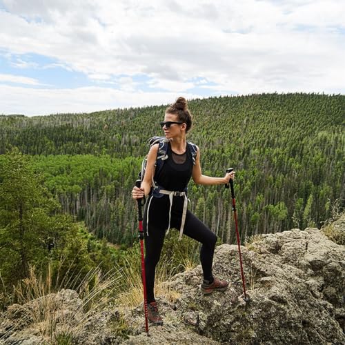 ALPS Mountaineering Trekking Pole