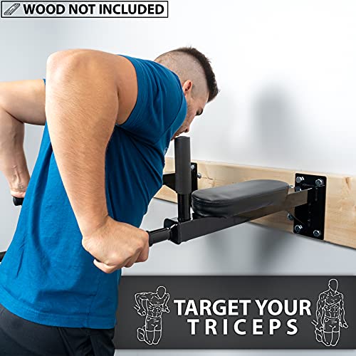 Synergee Wall Mounted Dip Station. Dip Bars for L Sits, Knee Raises, and More! Gymnastics and Upper Body Fitness Training....