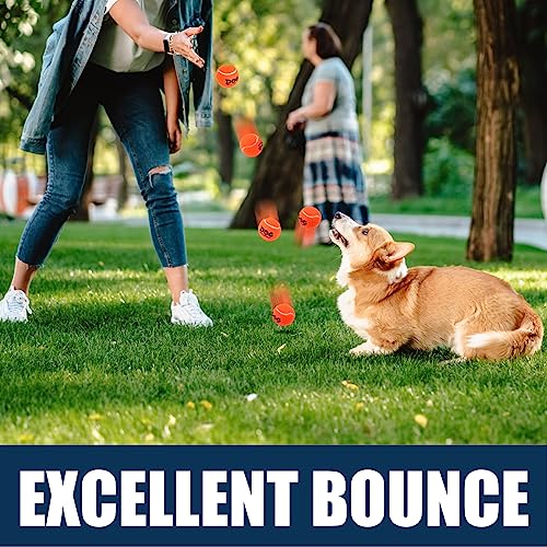 AMA SPORT Tennis Balls for Dogs 12 Pack 2.5" Red Dog Tennis Balls for Puppy Small Medium Dog Toys, Designed for Dogs Float...