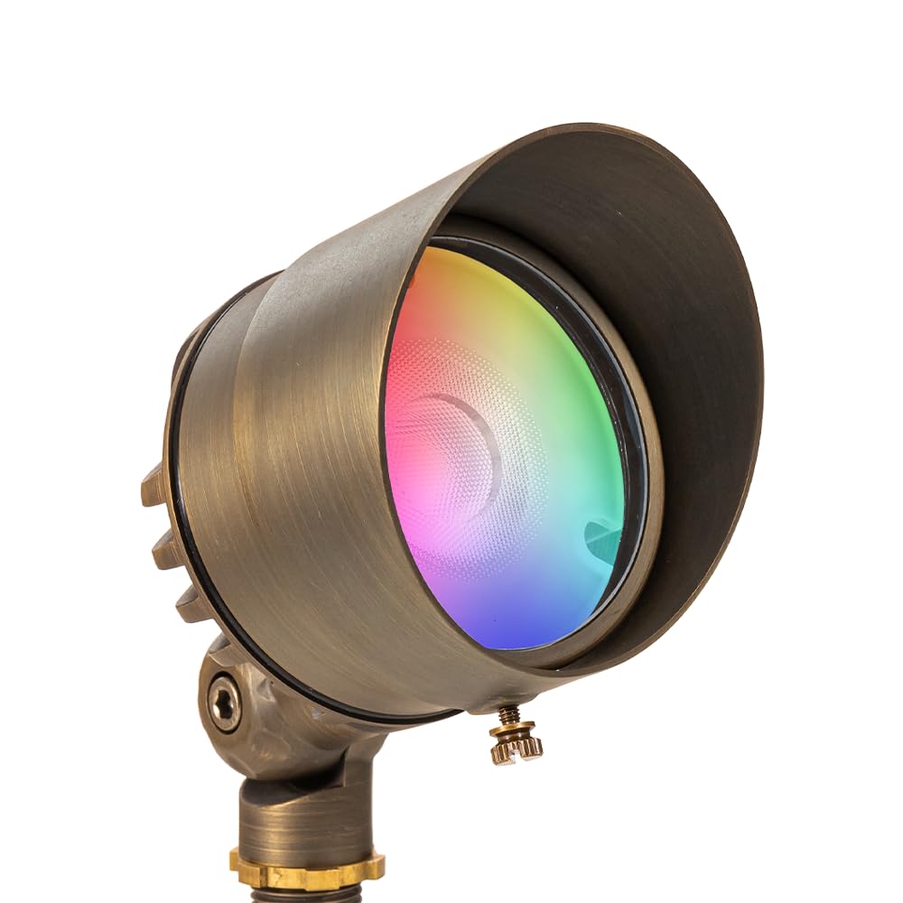 VOLT RGBW Integrated LED Brass Spotlight with Remote Control, Color Changing, Bronze