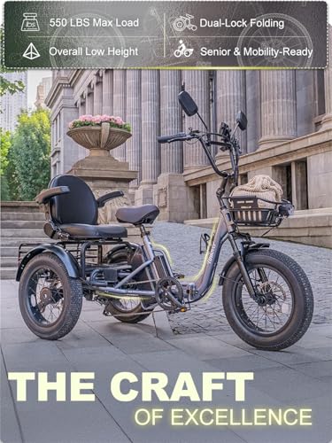 Folding Electric Tricycle for Adults 2 Seater, 22MPH 100 Miles 4" Wide Fat Tire Electric Trike, 3 Wheel Electric Bike 1200...