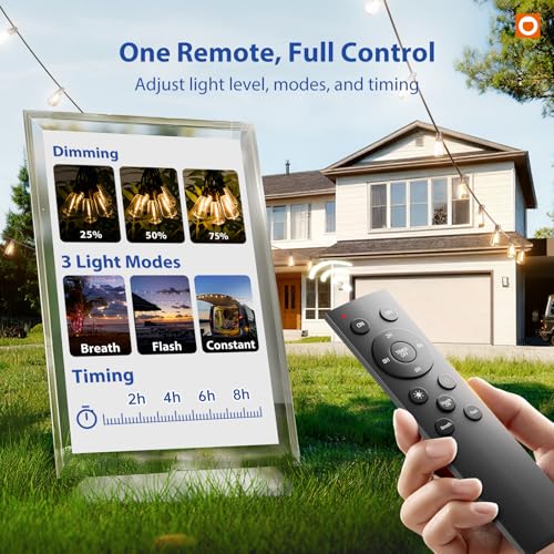 addlon 100FT LED Outdoor String Lights with Remote Waterproof Patio Lights with Shatterproof ST38 Replaceable Bulbs, Dimma...