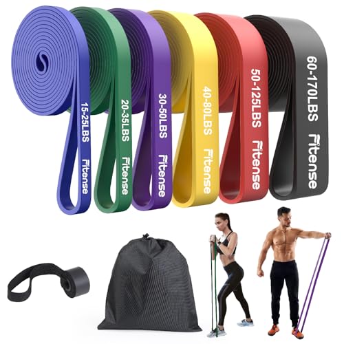 Fitense Resistance Bands Set - Pull Up Bands for Men Women, Exercise Bands Resistance with Door Anchor, Training Poster & ...