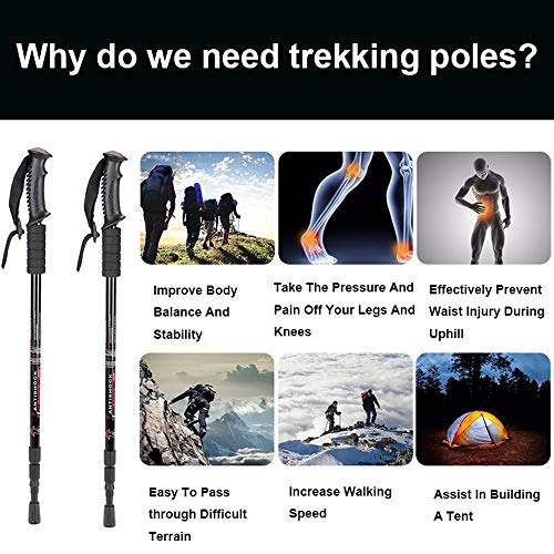 Aihoye Hiking Trekking Poles, 2 Pack Collapsible, Lightweight, Anti Shock, Walking Sticks, Adjustable Hiking Pole for Men ...