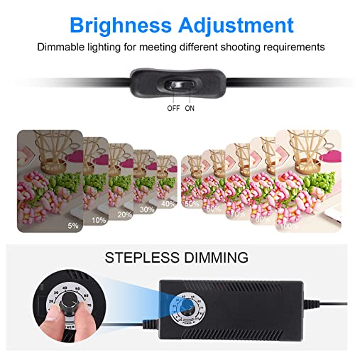 ZKEEZM Photo Studio Light Box Photography 32"x32" with 210 LEDs and 6 Colors Backdrops for Product Photography, Foldable P...