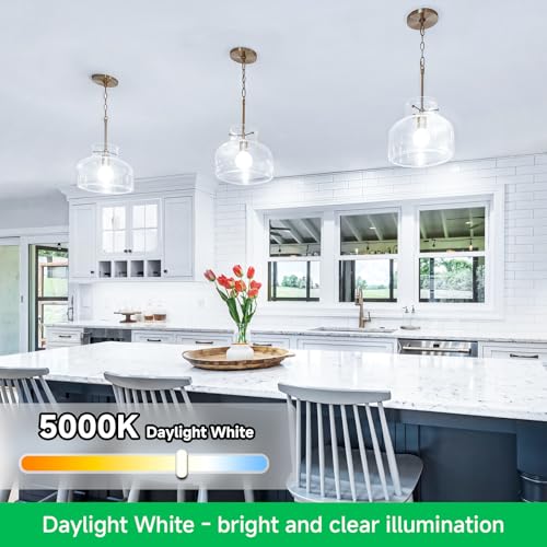 MAXvolador 12-Pack A19 LED Light Bulbs, 100 Watt Equivalent LED Bulb, 5000K Daylight White, 1100 Lumens, E26 Medium Base, ...