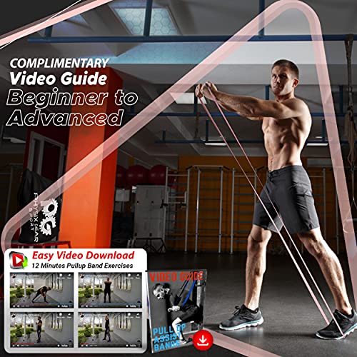 Physix Gear Workout Bands for Pullups Set, Pull Up Resistance Bands Set, Long Bands for Workout and Exercise Bands Pull Up...
