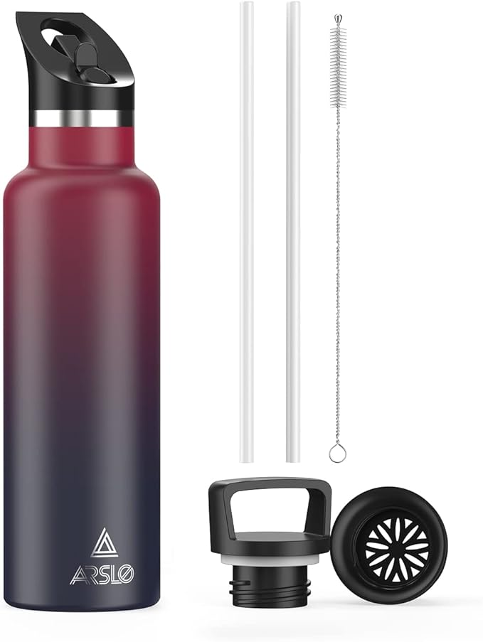 Stainless Steel Water Bottle with Straw - Insulated Water Bottle for Sports, Gym, School, Commute, Adults/Kids - Keep Cold for up to 24 Hours - Sweat/Leak-proof - 2 Lids - BPA Free