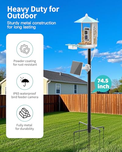 Onlyfly Metal Bird Feeder with Camera and 74.5 Inch Pole - Smart Camera Bird Feeder Solar Powered with 2k Live Stream for ...