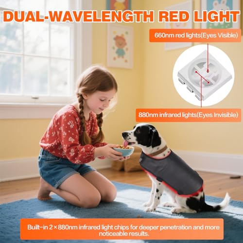 Red Light Ther/apy Back Belt for Dogs and Cats, Wireless Wearable Design with 3 Light Modes and 15-Min Auto Shutoff for Pe...