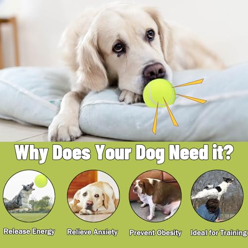 Magicorange Dog Tennis Balls, 20 Pack 2.5 inch Floatable Squeaky Tennis Balls for Fetch Exercise, Natural Rubber Squeaky D...
