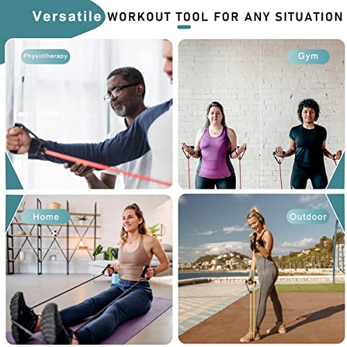 Resistance Bands with Handles, Single Resistance Bands, Exercise Bands with Handles, for Resistance Training, Physical The...