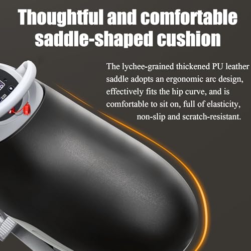 ERoomQ Electric Horse Riding Machine,Abdominal Exercise Machine,Horse Riding Exercise Machine,for Gymnasium, Indoor Club(B...