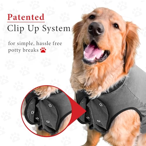 BellyGuard Dog Surgery Recovery Suit, Dog Onesie for Post-Op Care, Recovery Apparel for Female and Male, Surgical Body Cov...