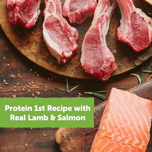 Wellness Rewarding Life Dog Treats, Training Treat, Grain Free, Soft Lamb & Salmon (6 Ounce Bag)