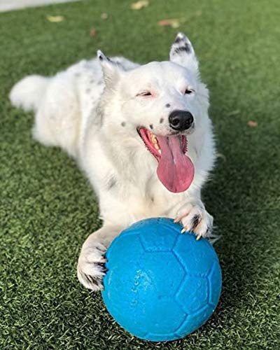 Jolly Pets Large Soccer Ball Floating-Bouncing Dog Toy, 8 inch Diameter, Ocean Blue
