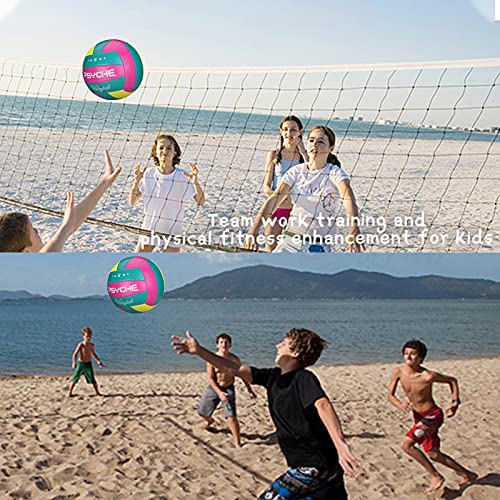 Wisdom Leaves Volleyball,Soft Volleyball Ball for Indoor Outdoor Beach Park Games Play and Training (Official Size 5)