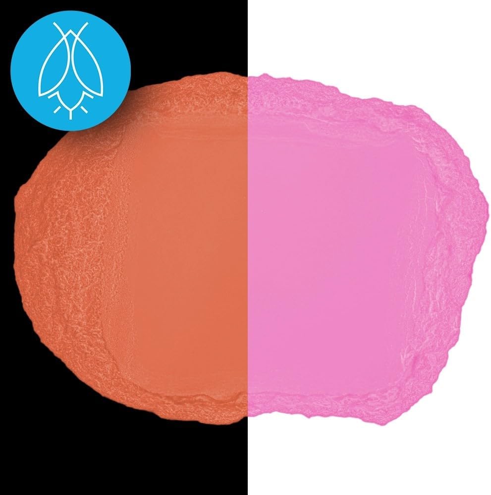 Glow in The Dark Pigment Powder - Neutral and Fluorescent Color for Art Painting, Fine Art, Nail Art Paint, and DIY Crafts - Long Lasting 10+ Color Options - Fluorescent Pink - (1 Kilogram)