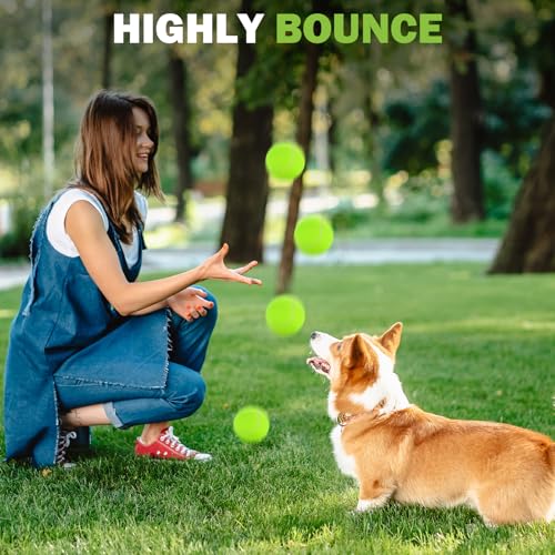 FURWEY Tennis Balls, 24/36/80 Pack Bulk Tennis Balls Pressureless Tennis Ball, Come with Mesh Bag for Easy Transport,Pet D...