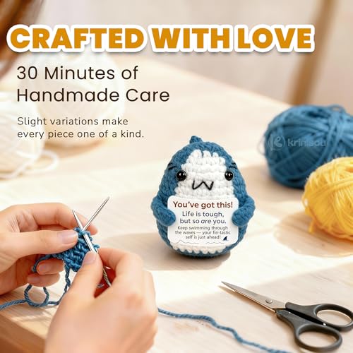 Krinisou Get Well Soon You Got This Gifts for Women Men, Inspirational Motivational Encouragement Thinking of You Gift, Cr...