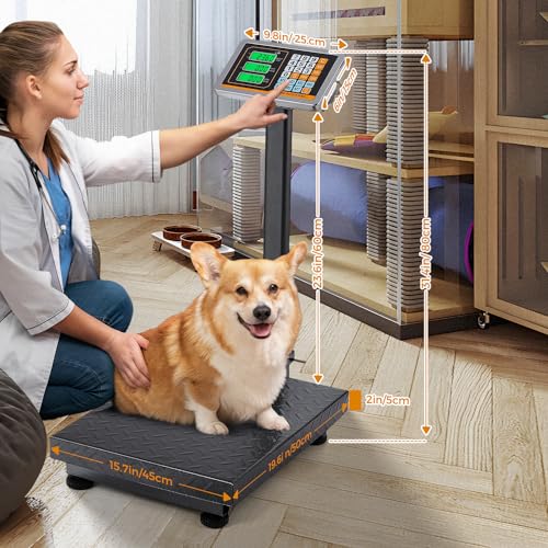 Bonvoisin Digital Platform Scale 660LBs Heavy Duty Floor Scale KG/LB Switchable Postal Shipping Scale for Weighing Package...