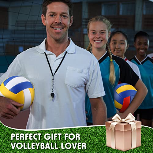 Jexine 12 Pcs Volleyball Official Size 5 Bulk Soft Volleyball with 2 Pump Outdoor Indoor Beach Volley Ball for Beach Play ...