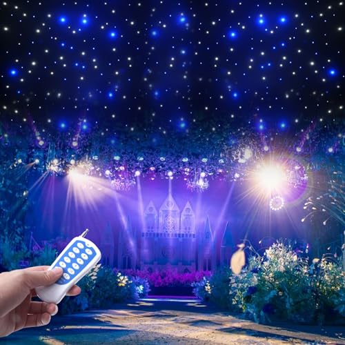 DMX512 LED Star Stage Backdrop, 8CH 30W 6X3M Foldable Starlight Wedding Curtain Background Starry Sky Velvet Backdrops w/C...
