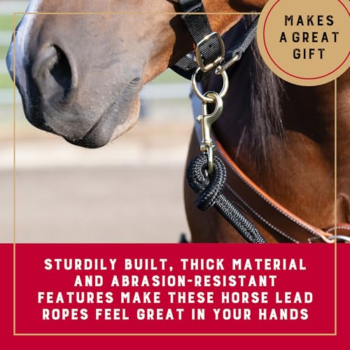Weaver Equine Performance Lead Rope, Black, 10' Horse Cowboy Rope with Brass Plated Snap, Soft Comfort Grip, Barn Horse Ta...