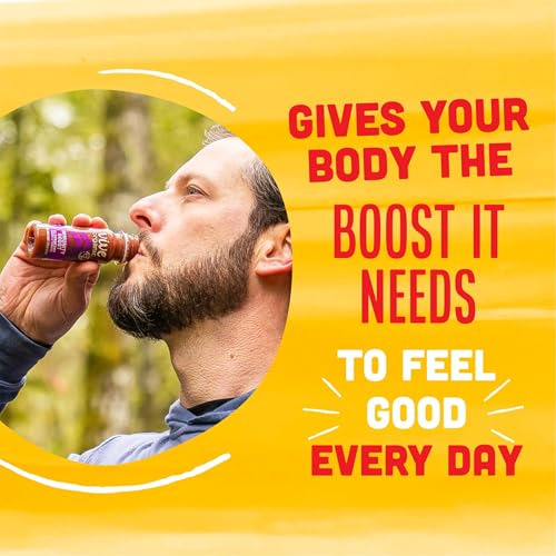 Vive Organic Elderberry Immunity Boost Wellness Shot, 2 fz