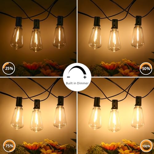 Brightever 100FT LED Outdoor String Lights with Remote, 3 Color Options, 52 ST38 Bulbs, Model CMPC-O50XA