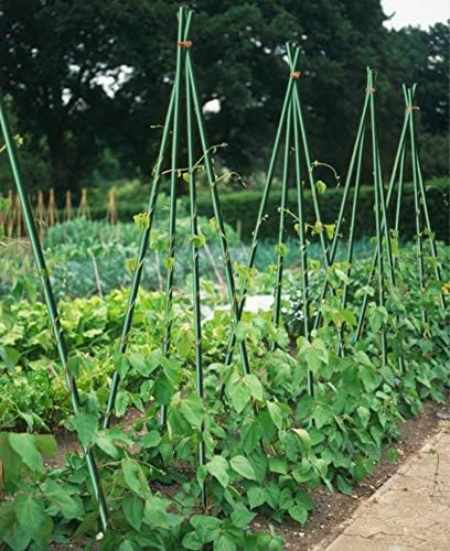 Garden Stakes 3Ft 50 Pack, 1/4-Inch Dia Ecofriendly Plant Stakes/Tomato Stakes/Green