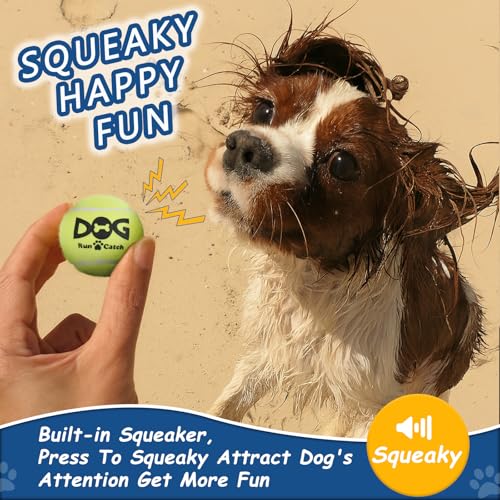 INSUM Small Tennis Balls for Dogs - 12 Pack 2.0" Squeaky Dog Balls for Small Breed, SGS Certified Non-Toxic, Interactive F...
