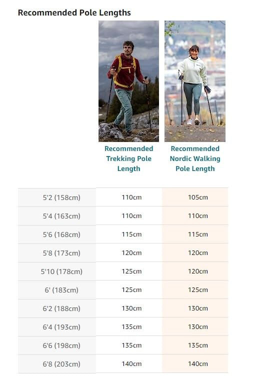 LEKI Nordic Walking Platinium Carbon Series Fixed Length Walking Poles 115cm Brown