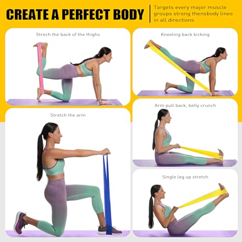 Resistance Bands, Exercise Bands, Physical Therapy Bands for Strength Training, Yoga, Pilates, Stretch Elastic Band with D...