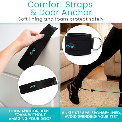Vive Resistance Band Set (11 PCS) (With App) - Versatile Exercise Tubes with Wide Handles, Workout Poster, & Door Anchor -...