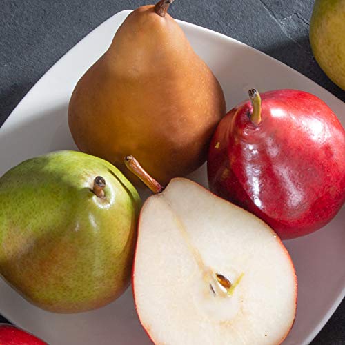 A Gift Inside Get Well Soon Orchard Delight Fruit and Gourmet Gift Basket"