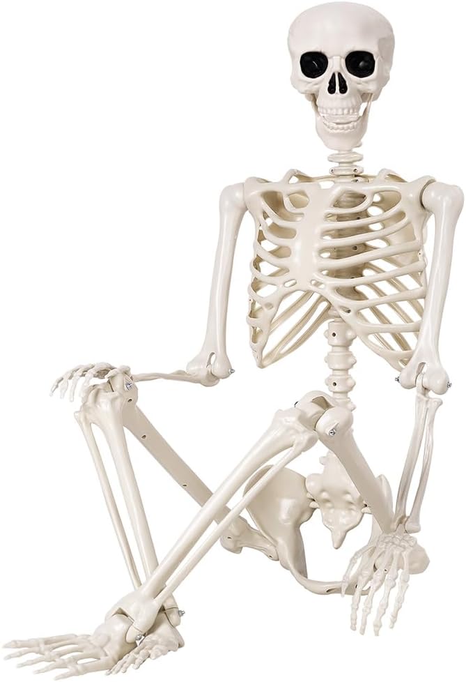 Halloween Skeletons Decorations - 5.4FT Life Size Posable Skeletons, Realistic Plastic Full Body Skeletons for Halloween Party Outdoor Haunted House Graveyard Decor