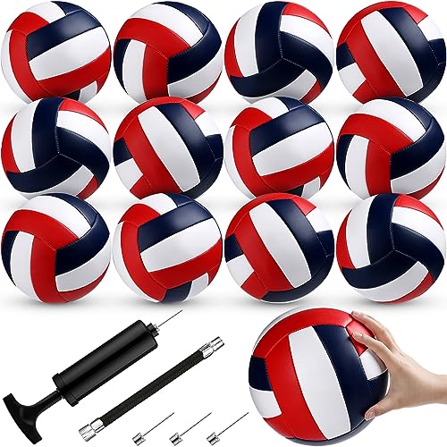 Meooeck 12 Pcs Volleyballs Official Size 5 Volley Balls Bulk Practice Volleyballs Indoor Outdoor Soft Recreational Volley ...
