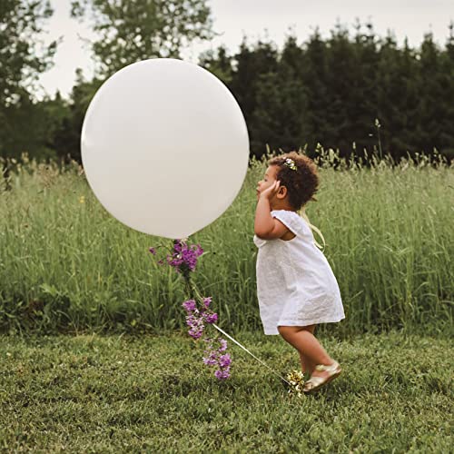 9Pcs Big 36 Inch Balloons, assroted giant balloon, Latex Ballons, Large Balloons for Birthday Wedding Party Decorations.