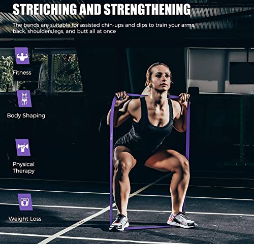 VEICK Resistance Bands for Working Out, Exercise Bands, Workout Bands, Pull Up Assistance Bands, Long Heavy Stretch Bands ...