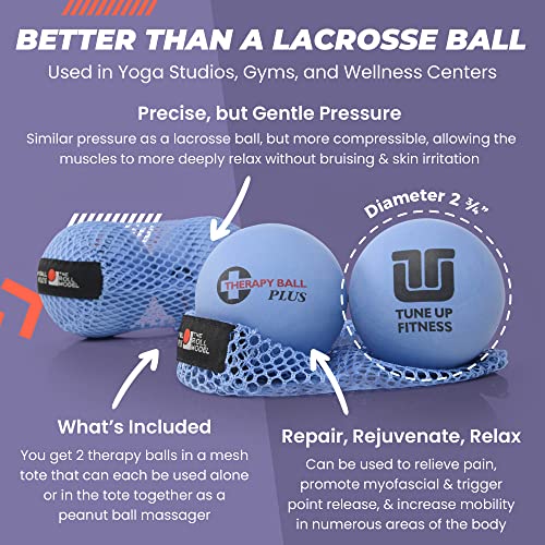 Tune Up Fitness – Therapy Ball PLUS Pair in Tote | Lacrosse Ball Upgrade - Massage Therapy Balls for Myofascial Release | ...