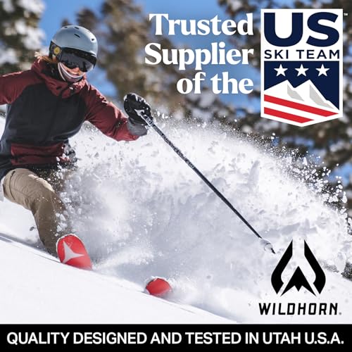 Wildhorn Roca Ski Goggles Men Women Anti-Fog/Scratch 100% UV-Magnetic Lens-Snowboard Snow Goggles Men Women Adult