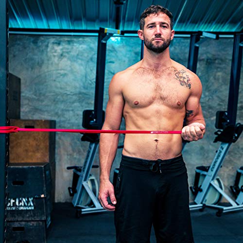 WOD Nation Pull Up Assistance Bands (10-175lbs Band) - Best for Pullup Assist, Chin Ups, Resistance Bands Exercise, Stretc...