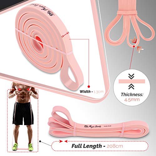 Physix Gear Workout Bands for Pullups Set, Pull Up Resistance Bands Set, Long Bands for Workout and Exercise Bands Pull Up...