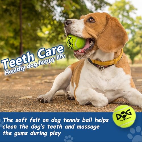 INSUM Squeaky Tennis Balls for Dogs - 12 Pack 2.5'' Durable Non-Toxic Outdoor Dog Toys Balls with Mesh Bag, SGS Certified,...