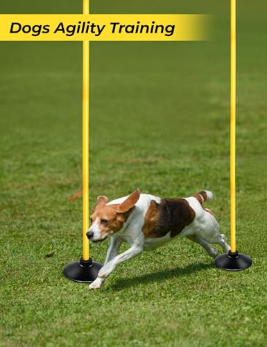 SEAOTTER Soccer Agility Poles Set, 4/6/10 Pcs 6ft Detachable Sports Trainning Speed Poles Slalom Poles with Rubber Base, A...