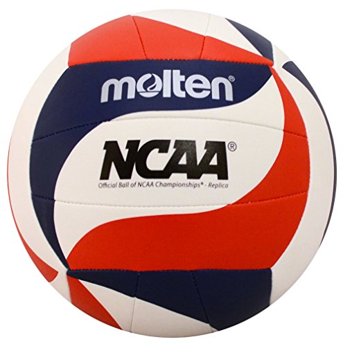 Molten Recreational Volleyball