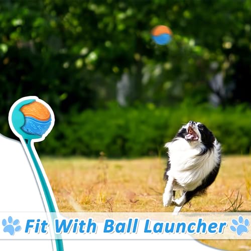 LECHONG Dog Balls (S6-Muti Color)