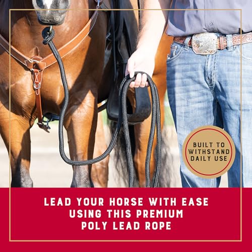 Weaver Equine Performance Lead Rope, Black, 10' Horse Cowboy Rope with Brass Plated Snap, Soft Comfort Grip, Barn Horse Ta...